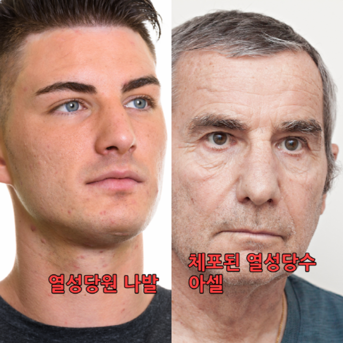 바라바 91화 ★ 체포된 아셀 (열성당수) 면회