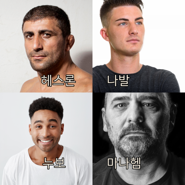 헤스론 나발 누보 마나헴 collage.png