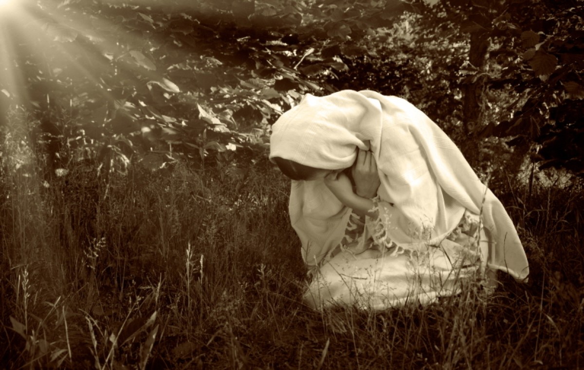 바라바 236화 ★ 신비와 신앙