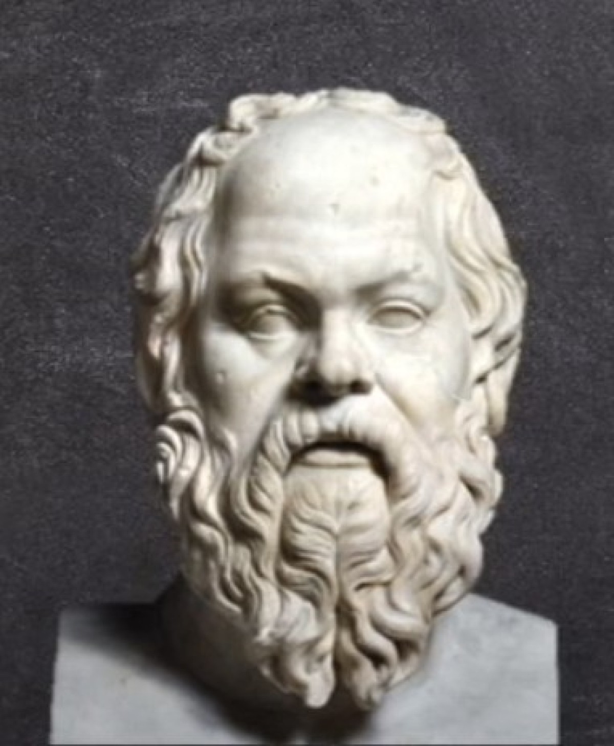 채식인류 - 소크라테스 가상 인터뷰