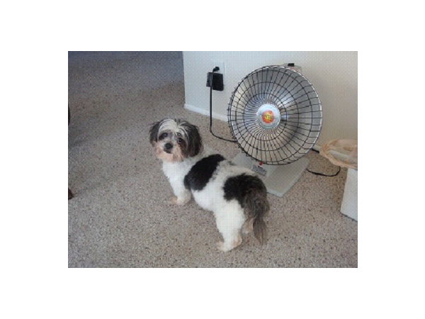 '아미'의 투병기