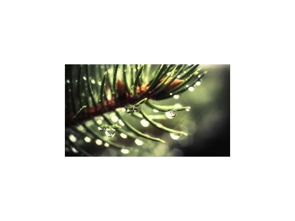 용서의 기쁨3 : 비에 씻긴 저 산의 초록을 보라 얼마나 예쁘고 아름다운가