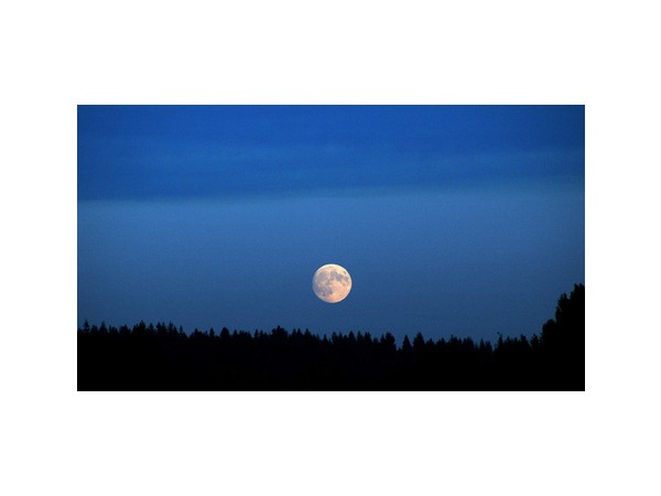 어느 단상 :  괴로움