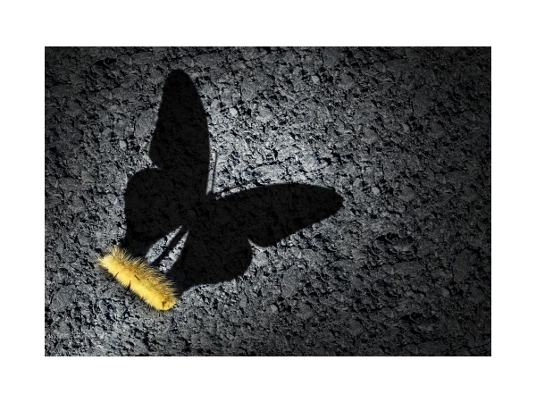 바라바 64화 ★ 나비 쫓아다니는 아리스토텔레스