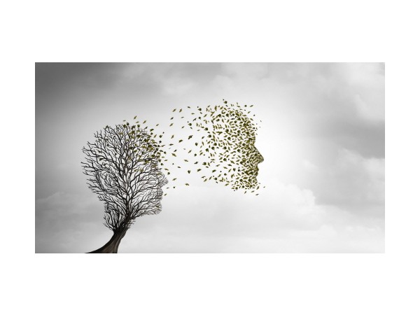 생사 - 현재 김흥호