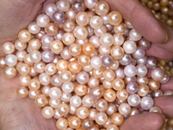 바라바 119화 ★ 돼지에게 진주 주면 화낸다