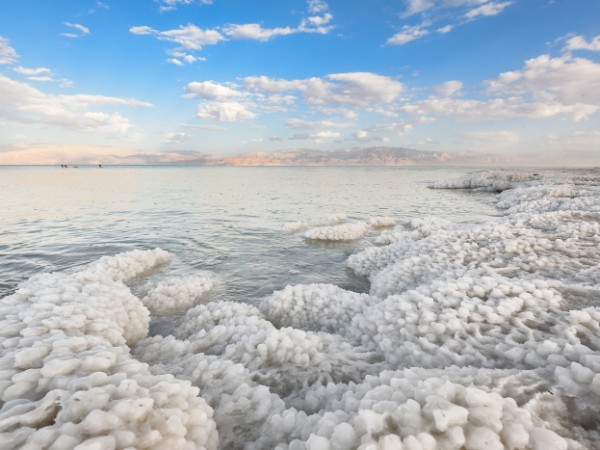 바라바 144화 ★ 사해