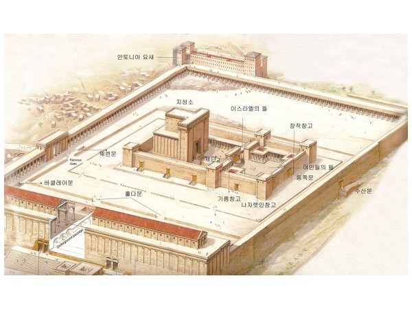 바라바 156화 ★ 하루 앞을 모른다