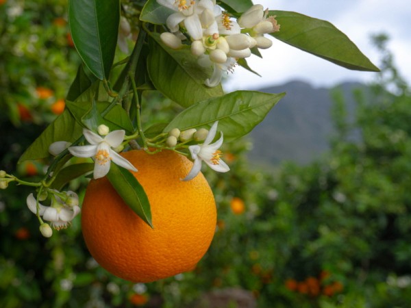 바라바 68화 ★ 같은 방 새 침대