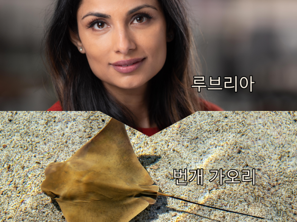 바라바 217화 ★ 깨어난 루브리아