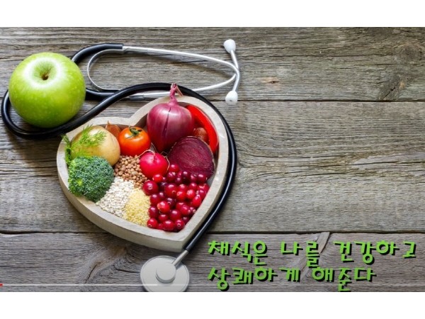 어느 한국인 - 나는 왜 채식을 하는가?