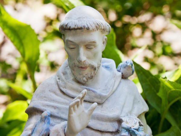 채식인류 - 성 프란체스코 가상 인터뷰