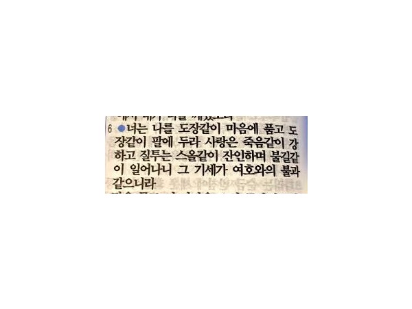 바라바 385화 ★ 사랑은 죽음같이 강하고