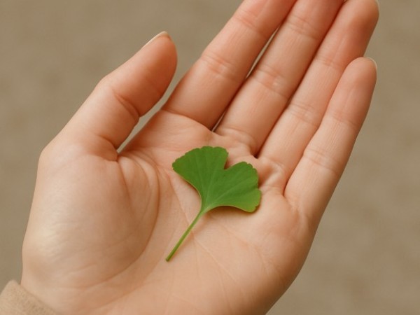 바라바 403화 ★ 헤로디아 왕비가 보낸 서신